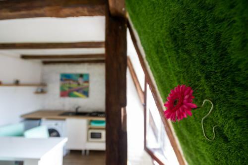 Apartamento No9 9mai Sibiu