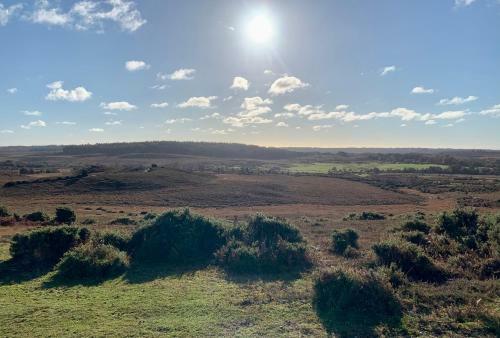 Apartamento Self Contained Studio The New Forest National Park