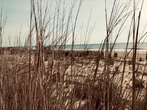 Beachfront Beauty