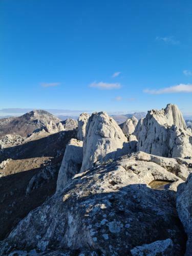 Apartmani Rudi