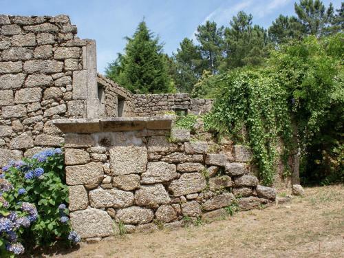Charming House On The Plot