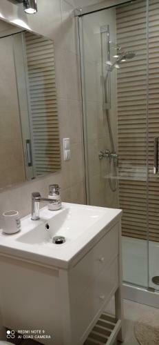 Apartamenty Pod Lasem