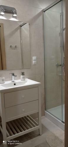 Apartamenty Pod Lasem