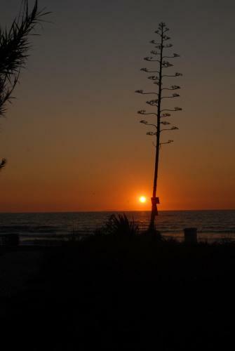 Apartamento Lollas Studio 1 Acharavi Corfu