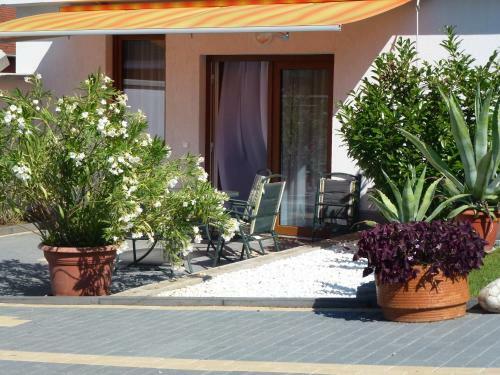 Dr�vecz Apartman