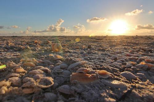 Belleair Beach Club 312