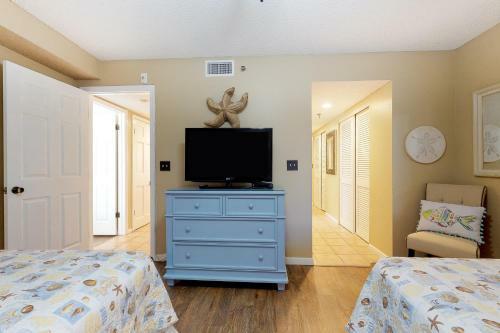 Sand Dollar 501