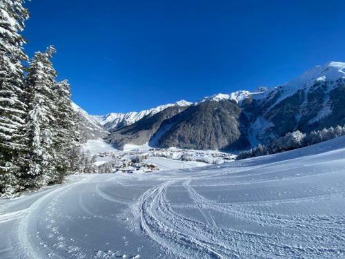 Alp Apart Niederthai