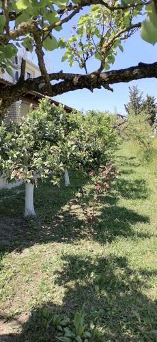 Villa Margarita Roda Corfu