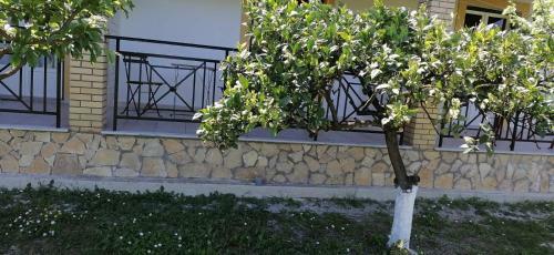 Villa Margarita Roda Corfu