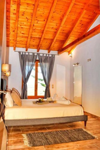 Apartamento Araucaria House