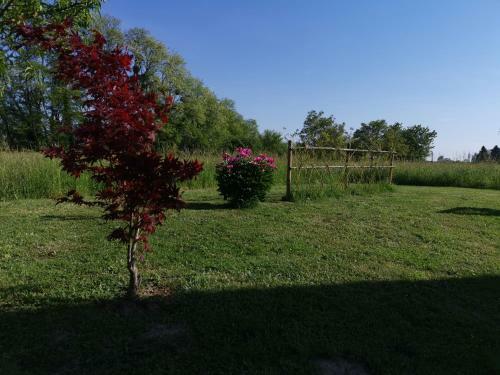 Bed & Breakfast La Ferme De La Terve