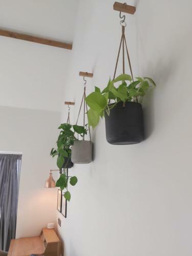 Apartamento Sweet Meadow Lodge
