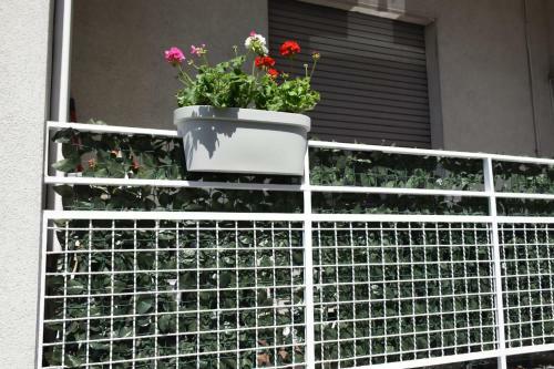 Apartamento Casa Vacanze Serena