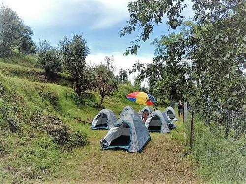 Jfr Studio Apartments Kausani