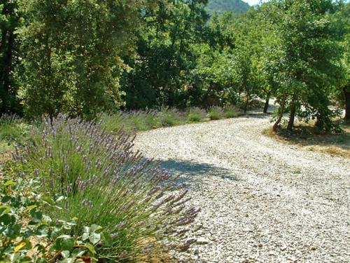 La Drug�re - G�tes Et Roulottes