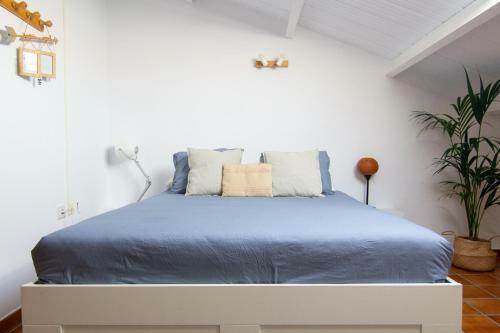 Apartamento Duplex Balancon