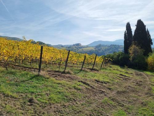 Apartamento Podere Vecci