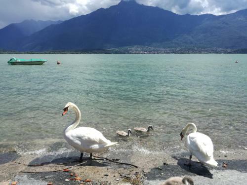 Grazia Al Lago B&B