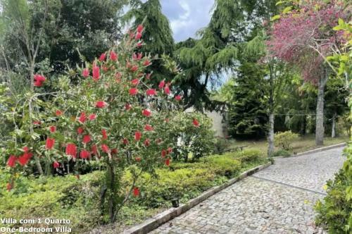 Villa Akivillas Bai�o Green