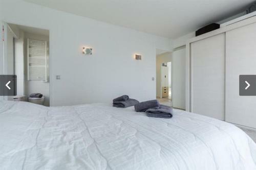 Apartamento Modern Croisette & Palm Beach