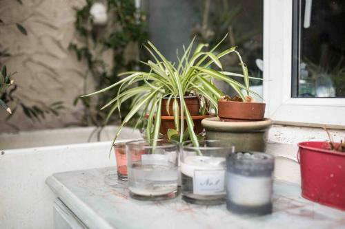 Apartamento Lovely Seaside Getaway With Pretty Courtyard