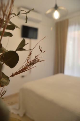 Precioso Apartamento Con Piscina