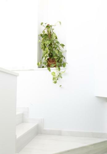 Fab Design Apartment
