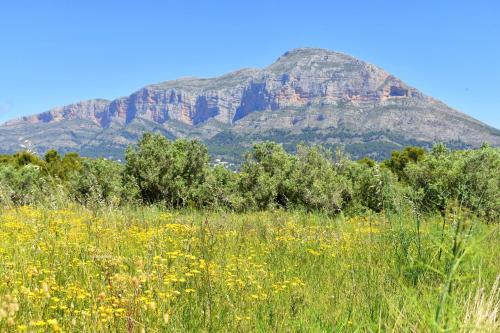 Apartamento Estrasburgo Suites Javea - 5080