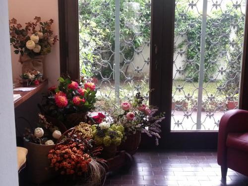 Bed & Breakfast Casa Calicantus