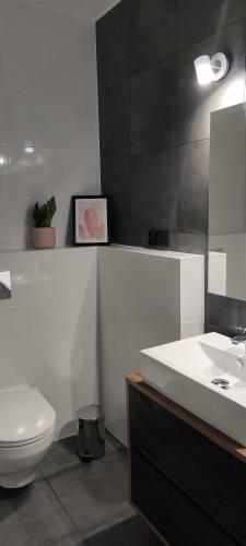 Apartamento Domowa- Restauracja I Pokoje