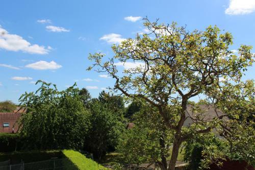 Apartamento Superbe Appartement Circuit Des 3 Chateaux
