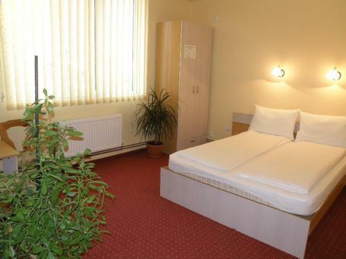 Hostal Pensiunea Beverly Hills