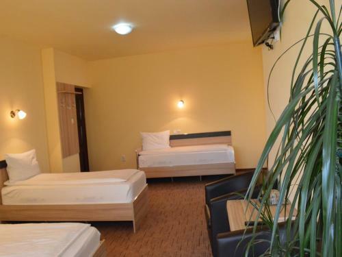 Hostal Pensiunea Beverly Hills
