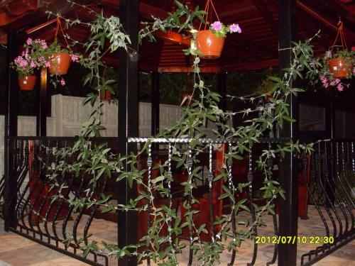 Hostal Pensiunea Beverly Hills