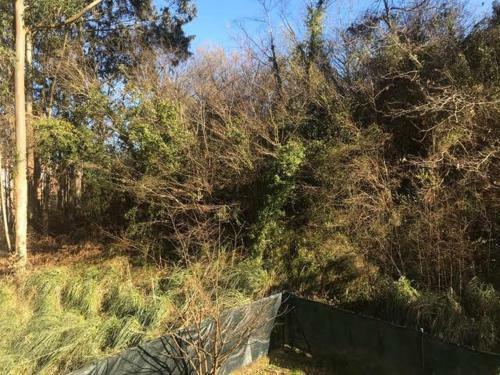 Apartamento Ria Del Sella 1