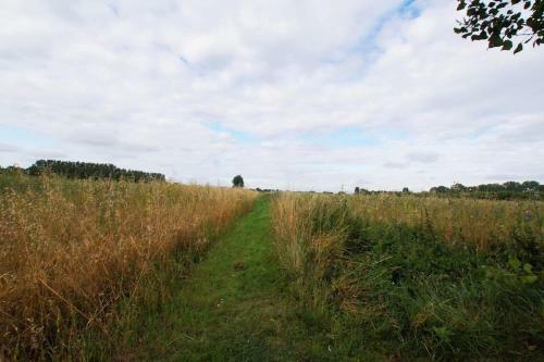 Cozy Cottage Overlooking Fields, Upwell