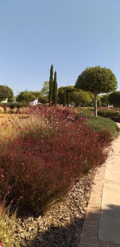 Apartamento Los Tilos Stylish 2 Bedroom Property La Torre Golf