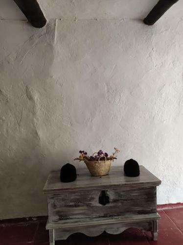 Villa Finca El Vicario