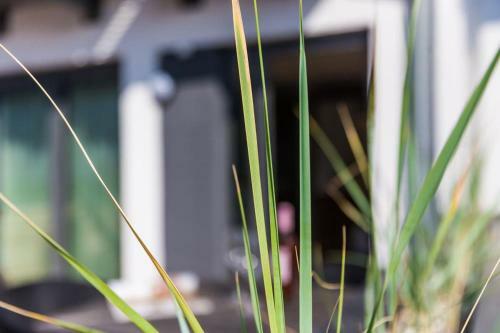 Apartamento Schippers Huus 04 - Bismarckloft