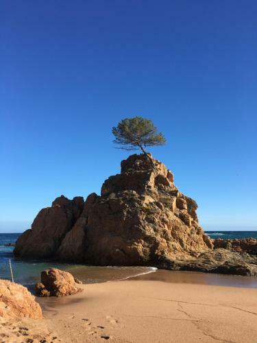 Apartamento Nice Flat 3 Mins From The Beach.
