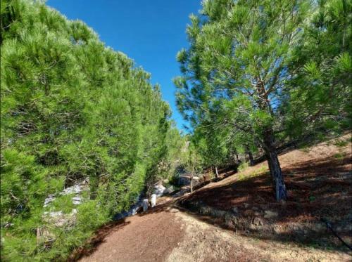 Villa Finca El Sue�o Andaluz