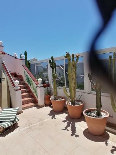 Hostel Las Americas