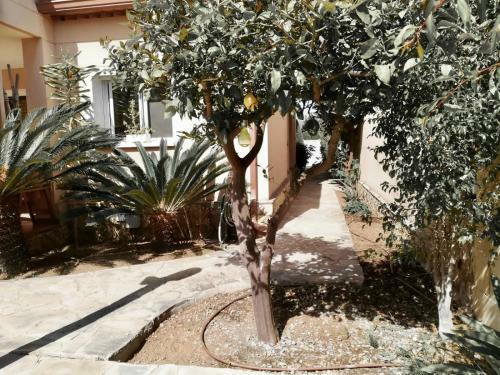 Chalet Con Piscina Privada