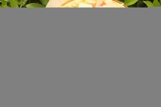 Hotel Swiss-belinn Malang