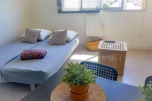 Apartamento Studio Lumineux � 100m de La Plage.