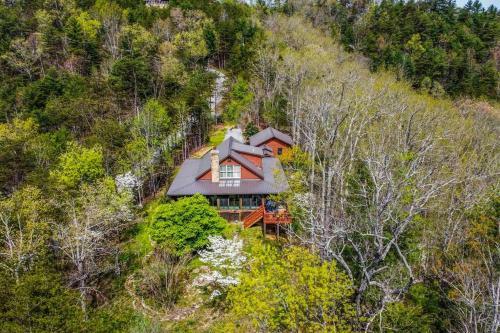 Hawk's View Cabin
