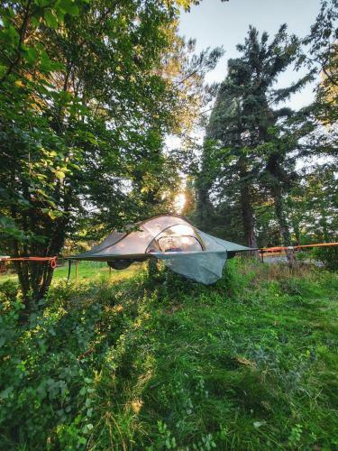 Baumzelt Eichh�rnchenkobel