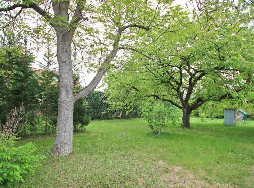 Apartamento Ferienwohnungen Waren M�ritz See 10980