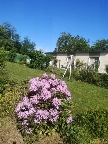 Bed & Breakfast Au Balaway